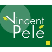 VP-Consultant logo - Similar company to Reus Ets