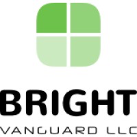 Bright Vanguard logo - Similar company to Brightlight Consulting