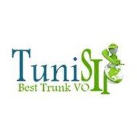 TuniSIP Telecom logo - Similar company to Altteco, Inc.