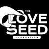 The Love Seed Foundation logo - Similar company to Stellar Gift Studio