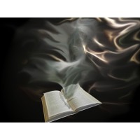Professional Ghostwriting Services logo - Similar company to Brooke White Ghostwriting
