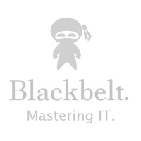 Blackbelt IT Solutions logo - Similar company to Tortoise And Hare Software