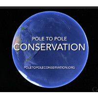 Pole-to-Pole Conservation logo - Similar company to Pole Design Chartres