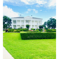 Lone Star Mansion logo - Similar company to Snap Digital