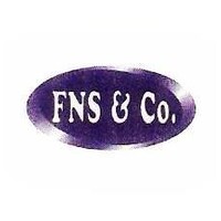 Feroz Nisar Saeed & Co - Chartered Accountants logo - Similar company to Tscm - Merit Security