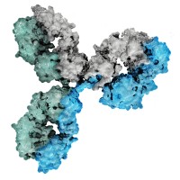 Kenjockety Biotechnology, Inc.