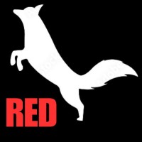 RedFoxCreation Pvt Ltd logo - Similar company to Aesthetic Generation