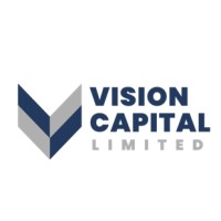 Vision Capital Limited logo - Similar company to Union Microfinance Company Limited