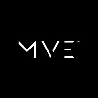 MVE Management logo - Similar company to The King'S Trust