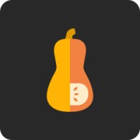 SquashQL logo - Similar company to Summit Systems