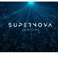 SUPERNOVA VENTURE logo - Similar company to Supernova Ventures