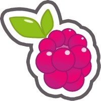 Razzleberries AB logo - Similar company to Vaeron Gmbh