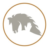 PaardenSpiegelen logo - Similar company to De Folks Terschelling