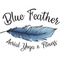 Blue Feather logo - Similar company to Blue Feather Ab