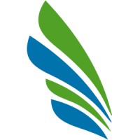 opesus logo - Similar company to Dex Solutions Llc