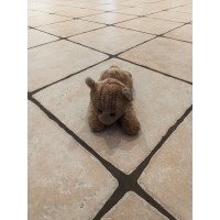 Je suis plus là..... logo - Similar company to Chantal De Menezes Architecte Paysagiste & Designer