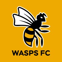Wasps FC logo - Similar company to Wasps