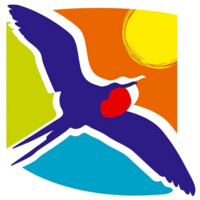Les îles de Guadeloupe - CTIG logo - Similar company to Noviris