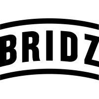 Bridz Negócios Digitais logo - Similar company to Grupofreela.Com