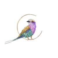 Craft Travel logo - Similar company to Customade Travel