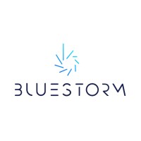 Bluestorm Solutions 3000 Holdings logo - Similar company to Skip Intro