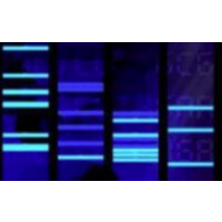 Lifescienceaudio.Com