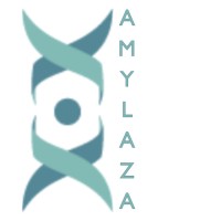 Amylaza Consulting