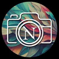 Bcom Newsroom logo - Similar company to Mr Sumani & Associates