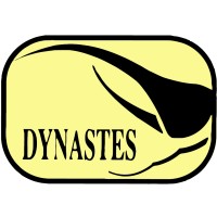 Dynastes s.r.l. logo - Similar company to Silis - Silicon Solutions