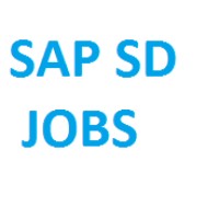 SAP SD JOBS logo - Similar company to Sap® Interim Management & Consulting S4-Experts