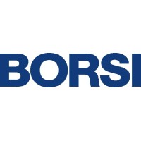 Borsi GmbH & Co. KG logo - Similar company to Mantz Airmotions
