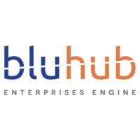 BluHub -The Enterprises Engine logo - Similar company to Hubruzzo - Fondazione Industria Responsabile