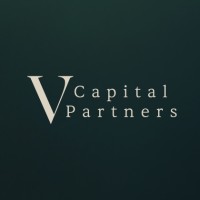 Viveo Capital Partners logo - Similar company to FlyingBinary Ltd