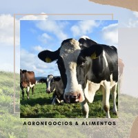 AGRONEGOCIOS logo - Similar company to Nivelagro