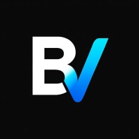 BrokersVisionary logo - Similar company to Antlysis