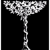 VATICAN CITY PHARMACEUTICAL SYSTEMS logo - Similar company to Vatican Library Collection