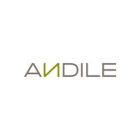 Andile logo - Similar company to Mesh.Trade