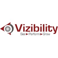 Vizibility LLC logo - Similar company to Mplus