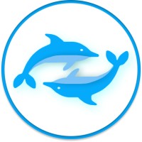 DeDolphins Tech logo - Similar company to Femcodes