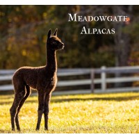 Meadowgate Alpacas logo - Similar company to Downtown Ashland Association