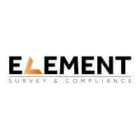 Element Surveys logo - Similar company to Plot. Surveys Ltd