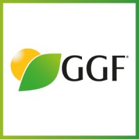 GGF em Campo logo - Similar company to Mvr