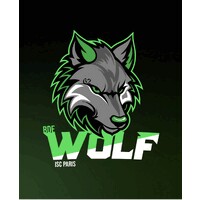 BDE Wolf ISC Paris logo - Similar company to Isc Trade Work