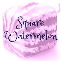 Square Watermelon logo - Similar company to Epergne Solutions Australia Pty Ltd