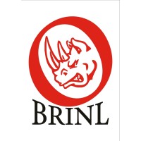 BRINL SERVICES LIMITED logo - Similar company to Soubassement Engineering Services Limited