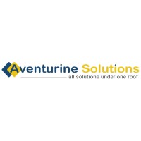 Aventurine Solutions Pvt Ltd logo - Similar company to Digiway Infotech