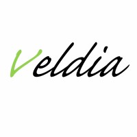 Veldia E-bike Technologie logo - Similar company to Phalanx E-Bike