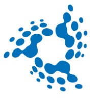 Leader Guyana logo - Similar company to Varaya