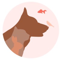 Ma Formation Animal logo - Similar company to Ceephao