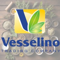 Vesselino Ltd logo - Similar company to Kitchenhut (Pty) Ltd